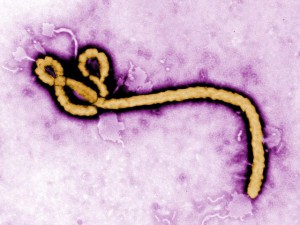 Sospetto caso di Ebola a Genova