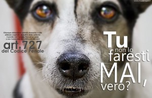 Campagna contro l'abbandono dei cani