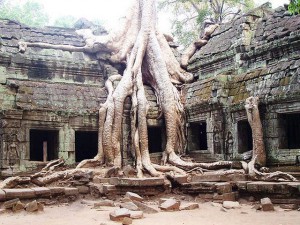 Turiste nude tra i templi