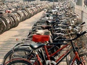 Ladri di biciclette fermati in via di Francia
