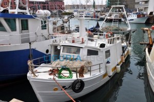 Pescatori in allarme a La Spezia