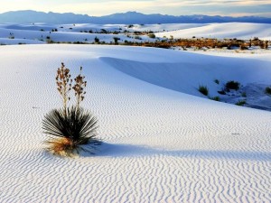Tre turisti francesi morti nel deserto del New Mexico
