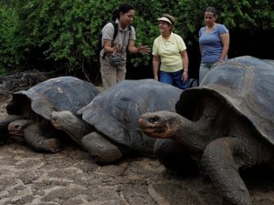 Nuova specie di tartaruga gigante alle Galapagos