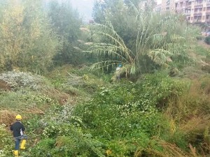 Iniziati i lavori di pulitura dei fiumi a Finale Ligure