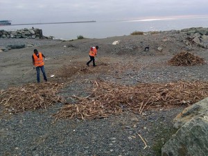 Immigrati puliscono spiagge di Voltri