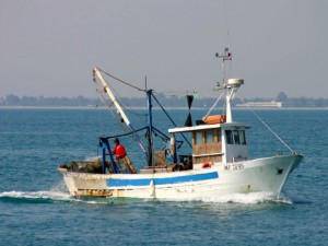 Pesca in crisi in Liguria