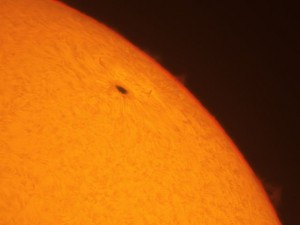 Macchia solare ripresa da Osservatorio del Righi