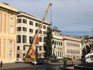 Torna l'albero di Natale in piazza De Ferrari