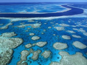 La barriera corallina australiana